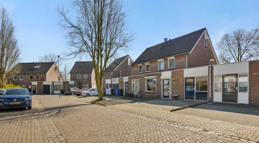 LangeWeide41Lith-01