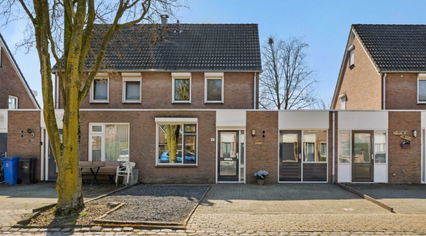 LangeWeide41Lith-03