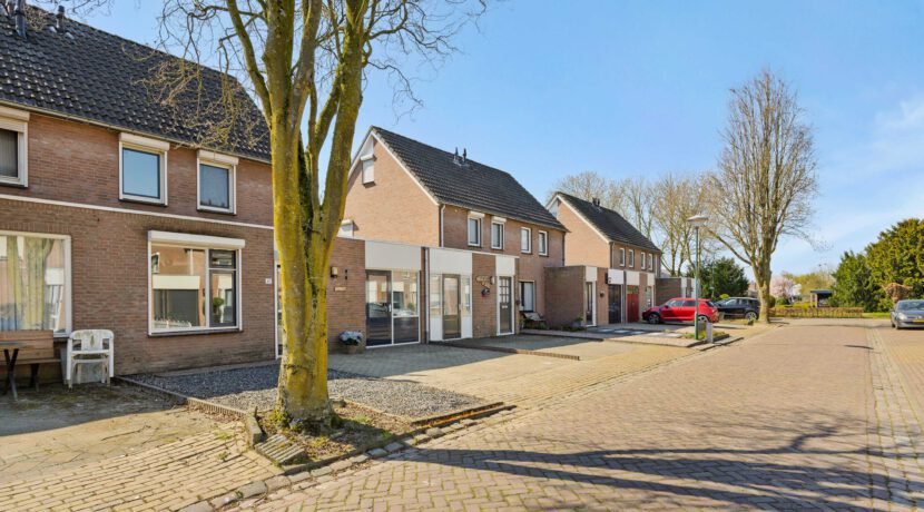 LangeWeide41Lith-04
