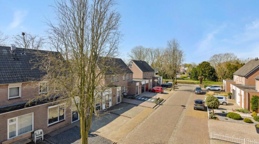 LangeWeide41Lith-09