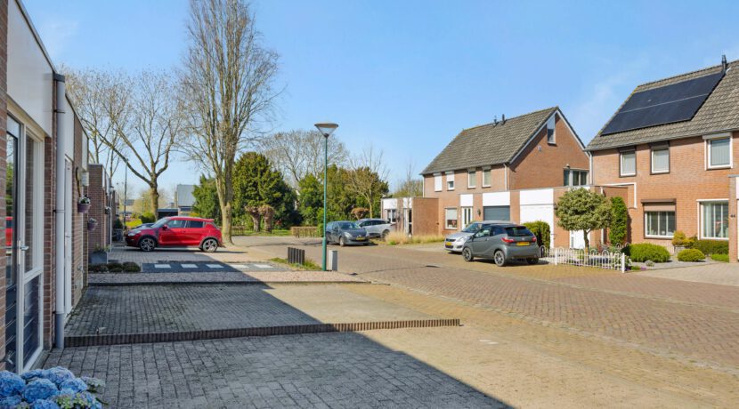 LangeWeide41Lith-10