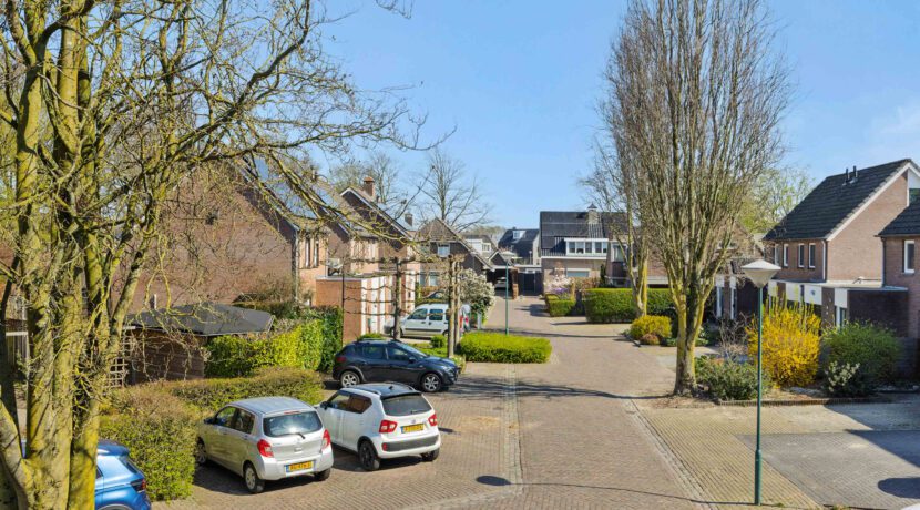 LangeWeide41Lith-47