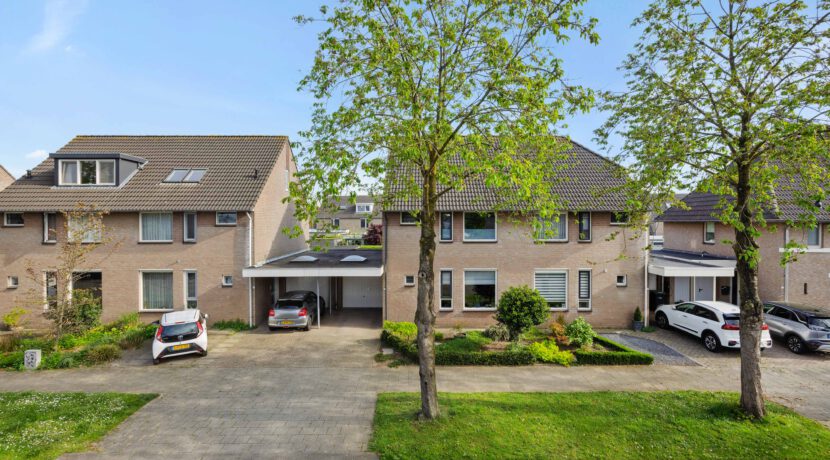 Plecht11Oss-01 (9)