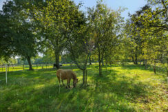 54_Willibrordusweg 199, Oss-45