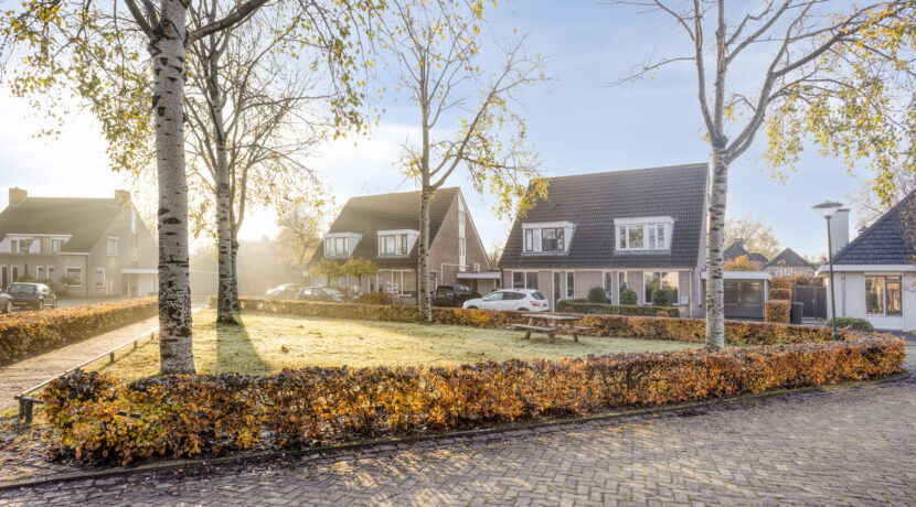 Hoppad105386geGeffen-01