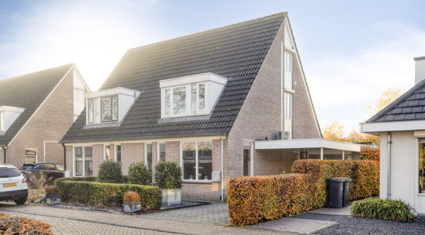 Hoppad105386geGeffen-02