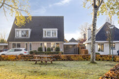 Hoppad105386geGeffen-03