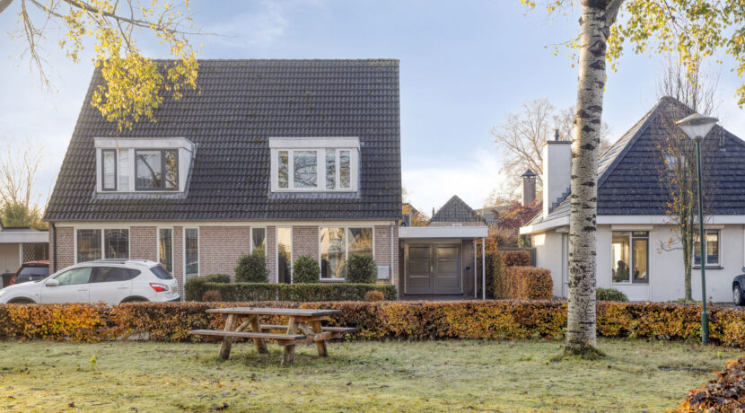 Hoppad105386geGeffen-03