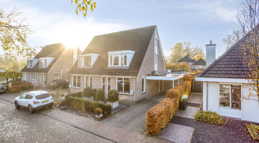 Hoppad105386geGeffen-06