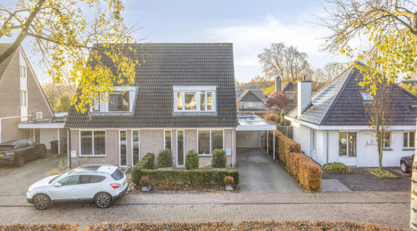 Hoppad105386geGeffen-07