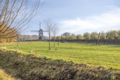 Hoppad105386geGeffen-45