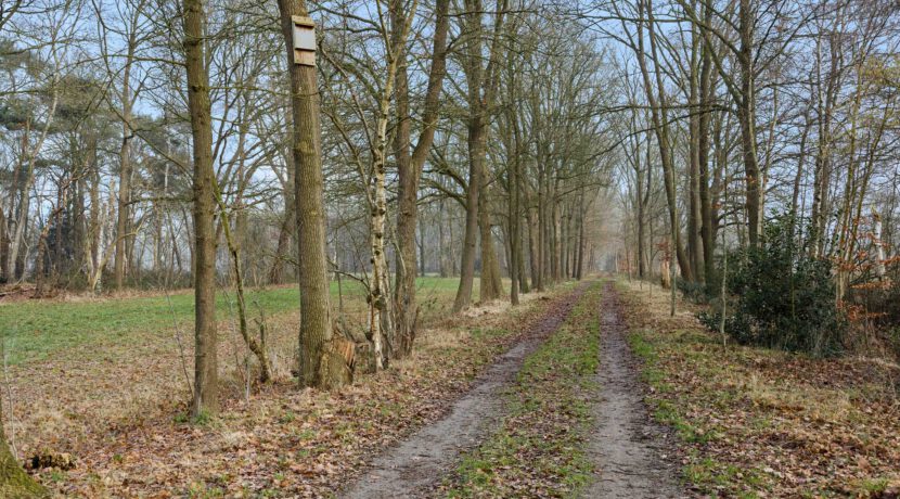 Kasteellaan 1, Heesch-01