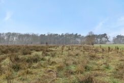 Kasteellaan 1, Heesch-09