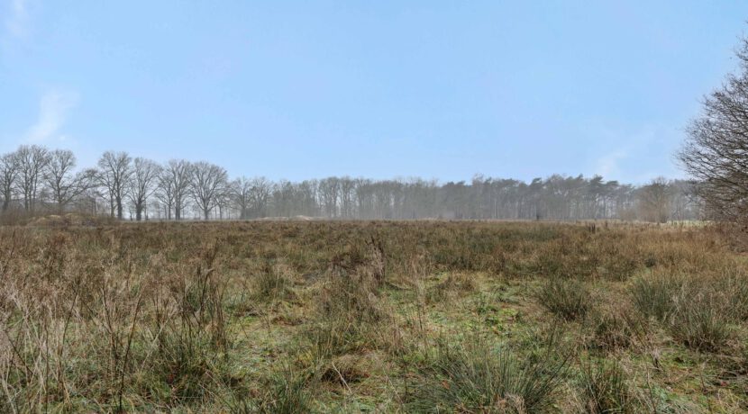 Kasteellaan 1, Heesch-10