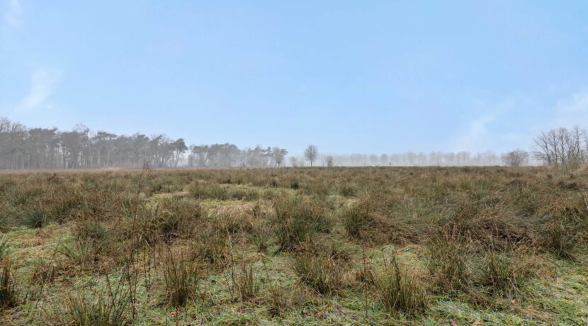 Kasteellaan 1, Heesch-13