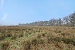 Kasteellaan 1, Heesch-14