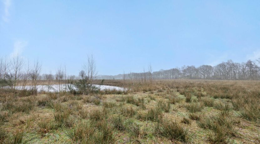 Kasteellaan 1, Heesch-17