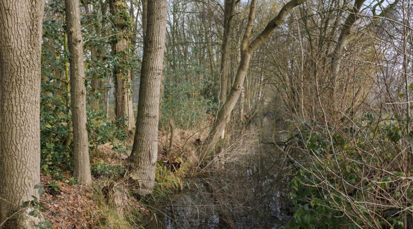 Kasteellaan 1, Heesch-18