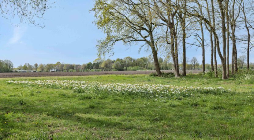 De Knolraap 37, Heesch-47