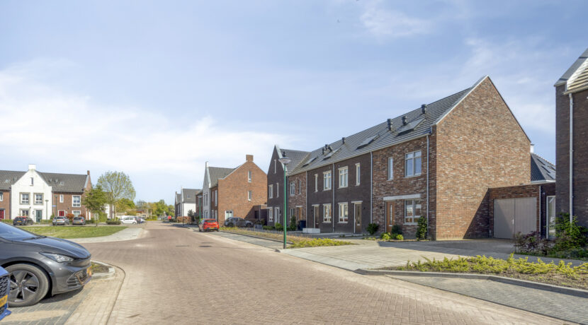 Struisgras295384PEHeesch-01