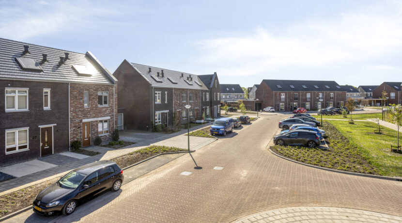 Struisgras295384PEHeesch-04