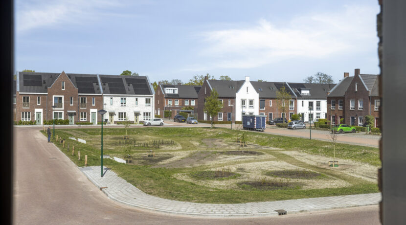 Struisgras295384PEHeesch-42