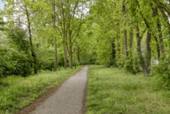 Biezenloop395384wbHeeschNL-45