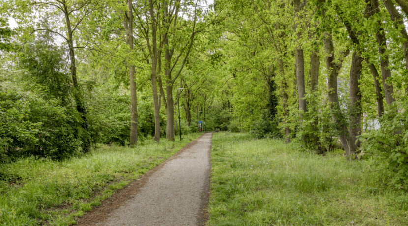Biezenloop395384wbHeeschNL-45