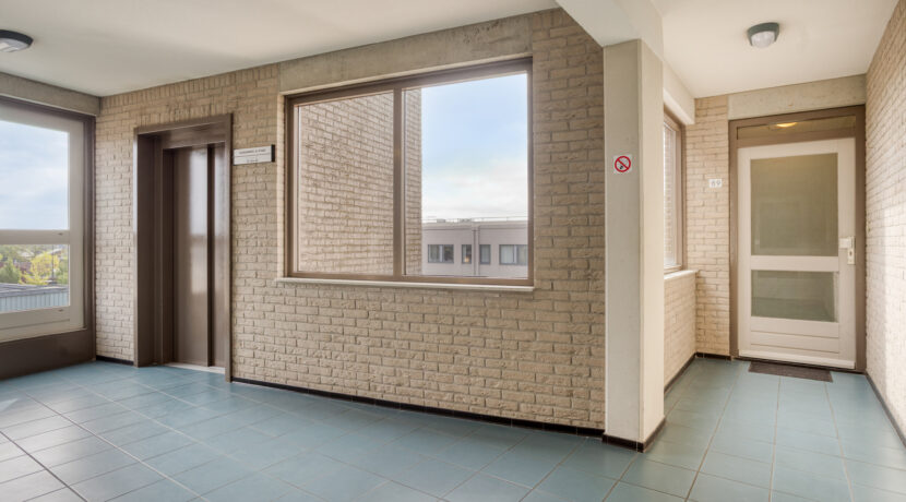 tDorp895384mbHeesch-13