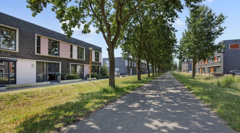 Paardenbloem 41, Berghem-01