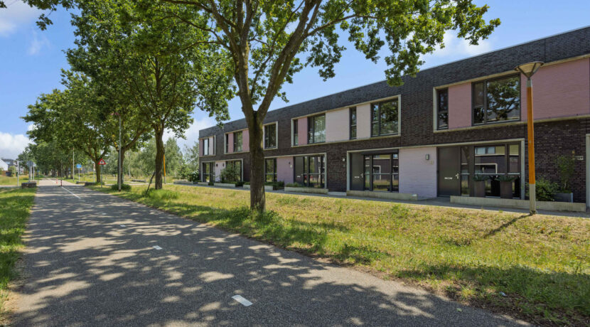 Paardenbloem 41, Berghem-04