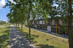 Paardenbloem 41, Berghem-05