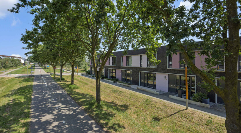 Paardenbloem 41, Berghem-05