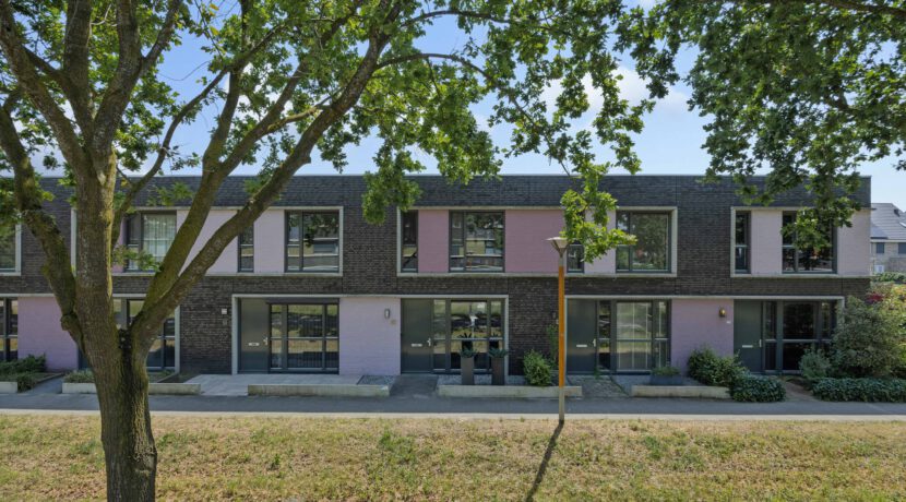 Paardenbloem 41, Berghem-07