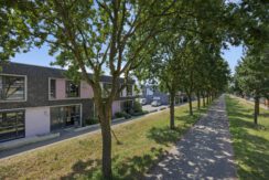 Paardenbloem 41, Berghem-08