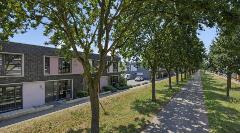 Paardenbloem 41, Berghem-08