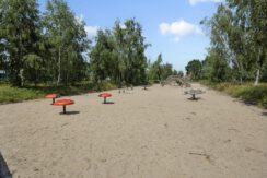 Paardenbloem 41, Berghem-45