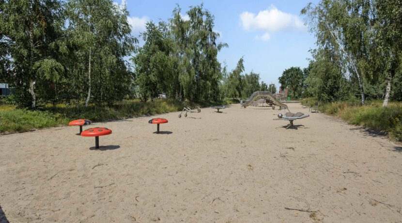 Paardenbloem 41, Berghem-45