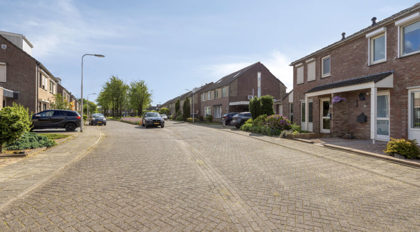 Zalm325345DGOssNL-03