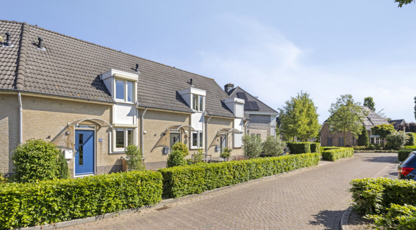 Rozelaar145386ERGeffen-04