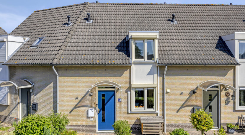 Rozelaar145386ERGeffen-05