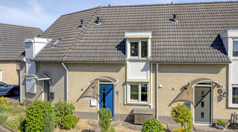 Rozelaar145386ERGeffen-06