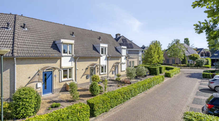 Rozelaar145386ERGeffen-08