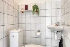 Rozelaar145386ERGeffen-11
