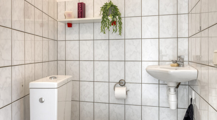 Rozelaar145386ERGeffen-11