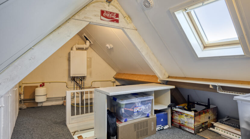 Rozelaar145386ERGeffen-31