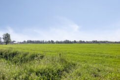 Rozelaar145386ERGeffen-39