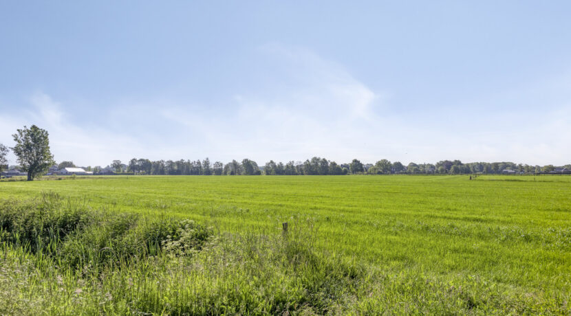 Rozelaar145386ERGeffen-39